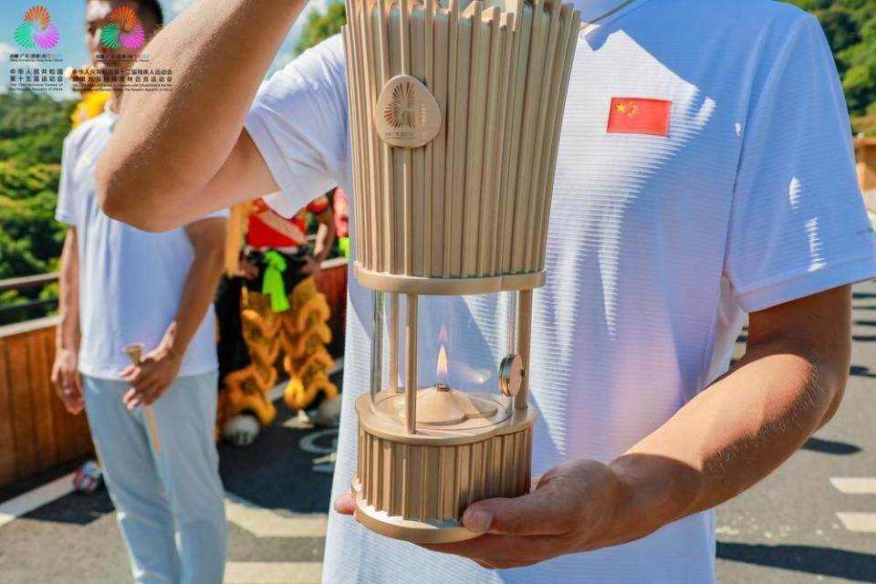 第十五届全, 十五运会和